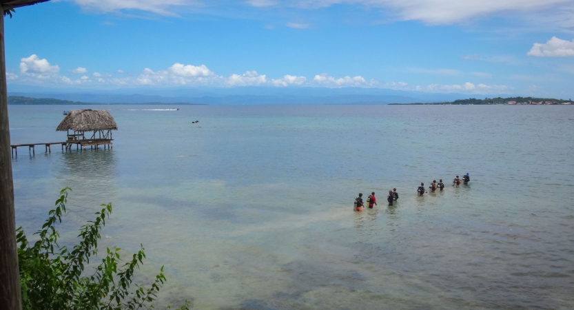 From above, a group of people wearing SCUBA gear wade into blue water under a blue sky.